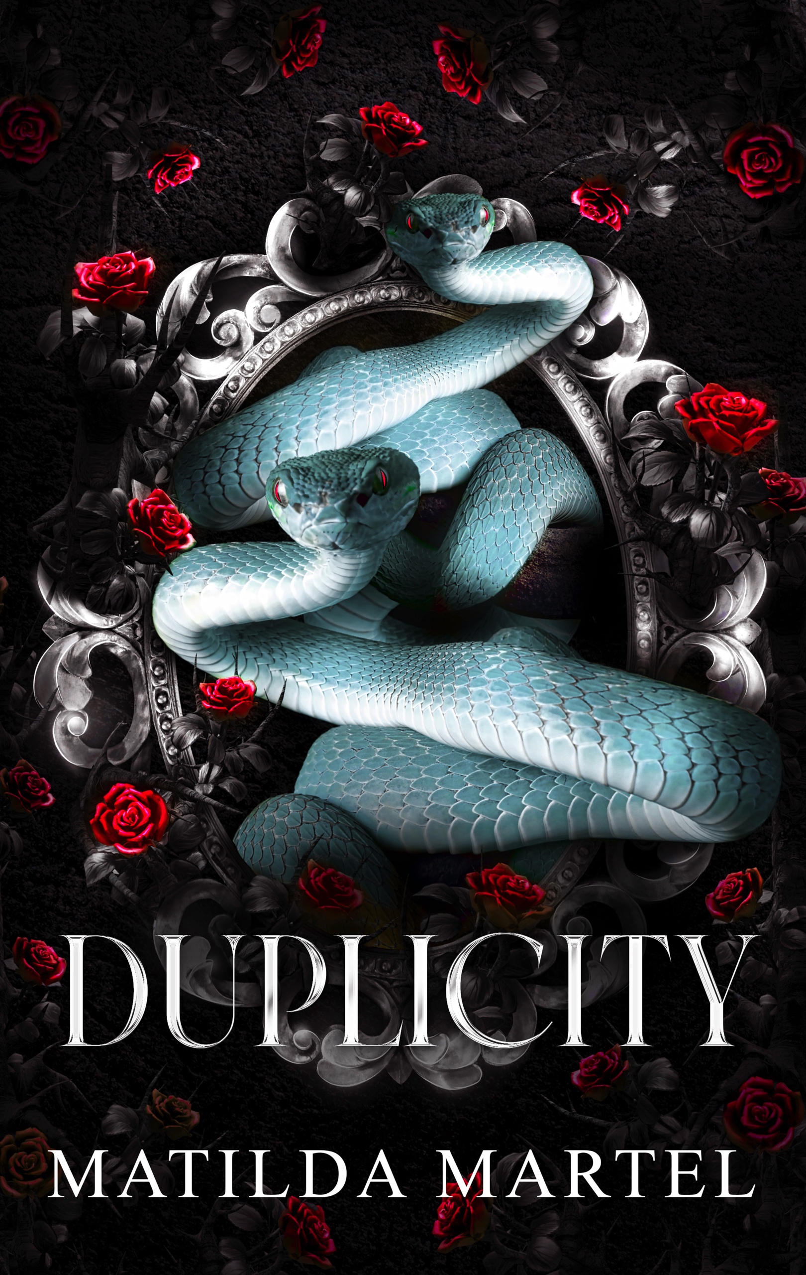 Duplicity
